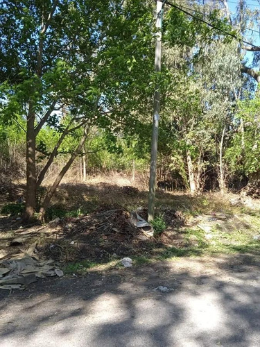 Imagen 6 de 7 de Terreno - Del Viso