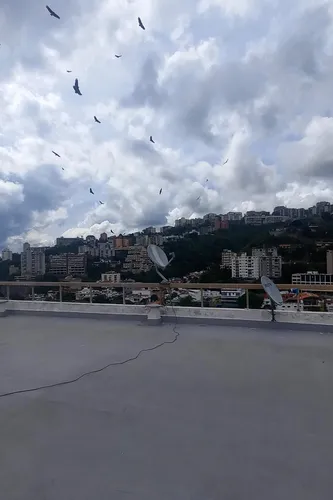 Colinas De Bello Monte (ag)