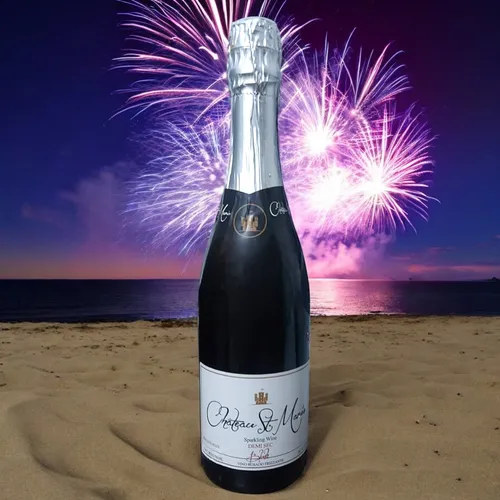 Vino Espumoso Demi Sec Chateau St Marie 750 Ml