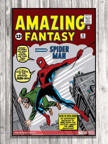 Cuadro De Portada Comic De Spiderman #1