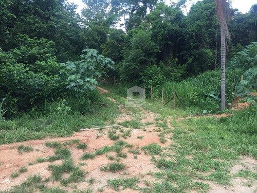 Imagem 21 de 22 de Terreno Amplo Para Desenvolvimento Imobiliário. - Te0019