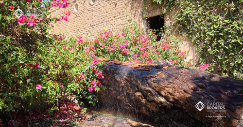 Ex Hacienda La Parreña Del Siglo Xix El Arenal , Jalisco . A 30 Min De Gdl.