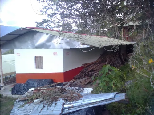 Se Vende Finca En Pijao Quindío