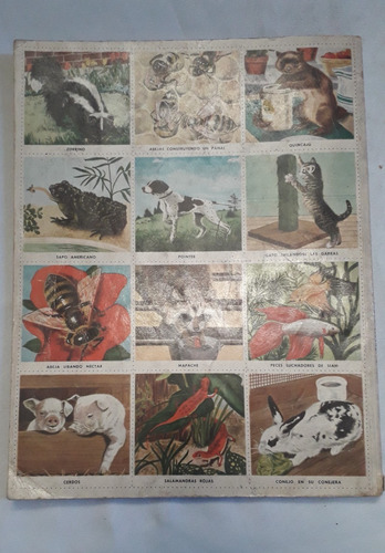 Album Figurita * Libro Oro Estampas : Animales Fav * Novaro (Usado)