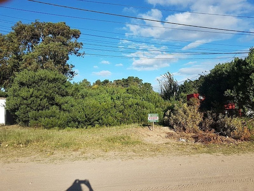 Imagen 7 de 8 de -vendido- Lote Sobre Calle Pinamar, Muy Buena Ubicación