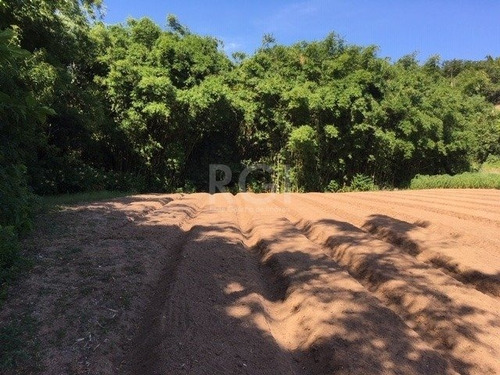 Area Em Vila Nova - Lu430623