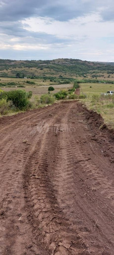 Imagen 20 de 20 de Venta Chacra Sierra Ruta 39 Aigua Sierra De Los Caracoles