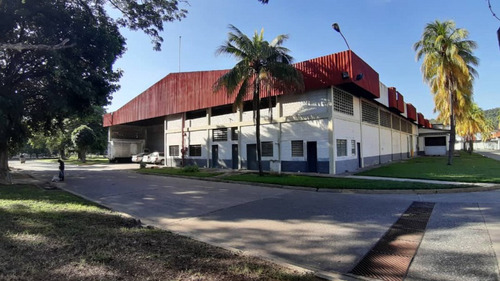 Adolfo Cañizales Vende Galpón Yagua Cód 438670
