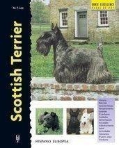 Scottish Terrier (excellence)