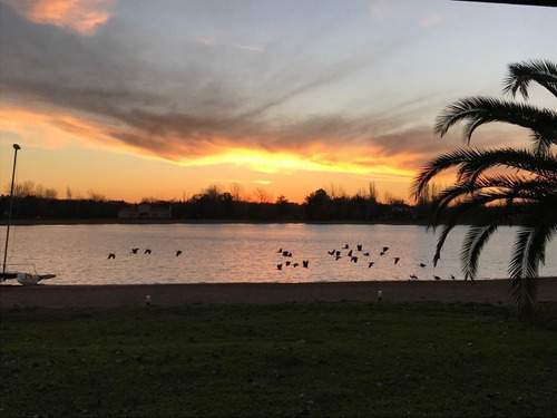 Imagen 14 de 17 de Venta O Alquiler Isla Del Este Lote Con Muelle Para Lancha, Barco