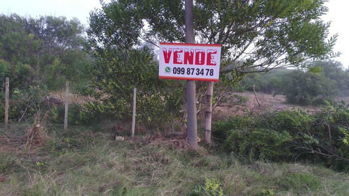 Imagen 1 de 1 de Vendo Terreno De 5000 Metros En La Paloma Zona Anaconda, Equivalente A 12 Solares. Por Viaje