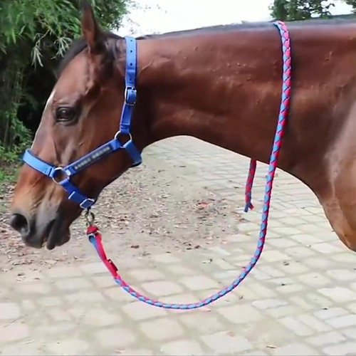 Cuerda De Para Caballos Con Clip A Presión De Perno, Cuerda