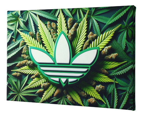 Cuadro Moderno Verdor Cannabis adidas 50 X 80