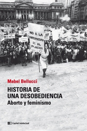Historia De Una Desobediencia - Aborto Y Feminismo - Mabel B