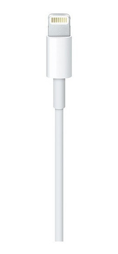 Apple Cable Cargador Lightning A Usb (2 M) Original