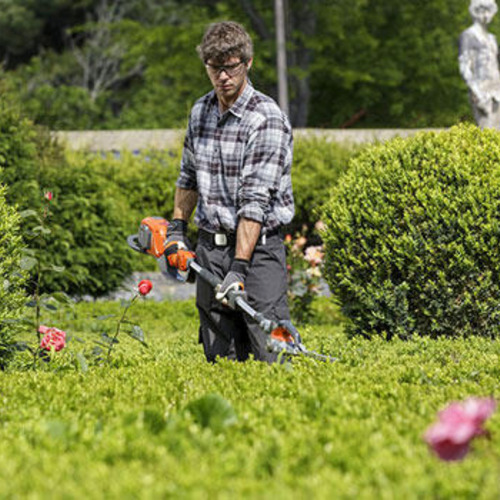 Curso De Jardinero Jardinería Botánica Agricultura Completo
