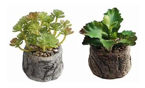 Plantas Suculentas Artificiales En Maceta Y Cara De Cactus F