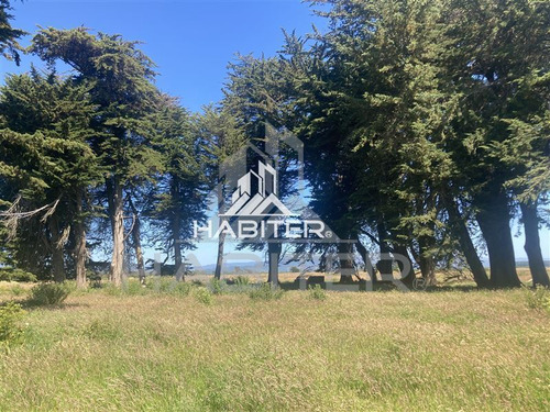Imagen 28 de 30 de Parcela 5000 Parcela Con Accedo Rio Tolten Viejo