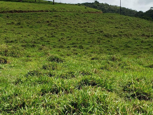 Imagem 11 de 15 de Fazenda Para Venda Em Canhotinho, Zona Rural - In - 0010_1-2014430