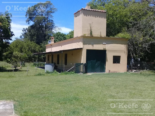 Imagen 16 de 25 de Campo En Venta En Lezama - 530 Has. Ideal Turismo Rural Con Laguna. Pesca - Retasado
