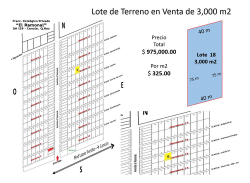 Terreno Ecológico En Venta, 3,000 M2, Fracc. El Ramonal, Carretera Cancún-mérida