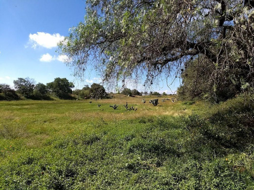 Terreno En Venta Bernal
