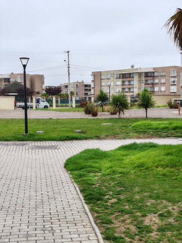 Como Nuevo Top Top! Dpto En Arriendo Año Corrido Sin Muebles