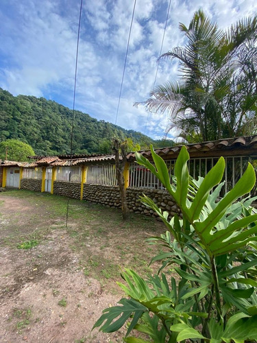 Imagen 8 de 15 de Se Vende Casa Chorro El Indio