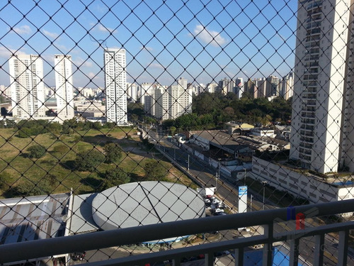 Apartamento À Venda Em Jardim - Ap007930