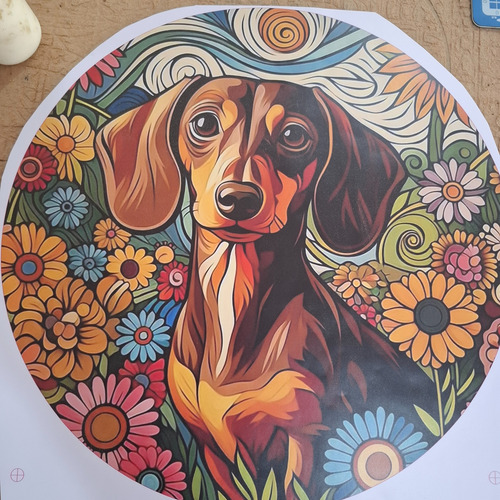 Rompecabezas De Madera De Animales - Varios Modelos