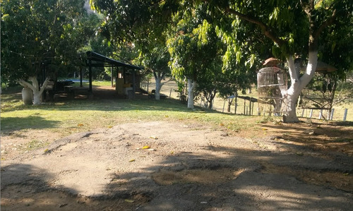 En Venta Finca Ideal Para Ganadería, Cría De Caballos Entre Otras Actividades.