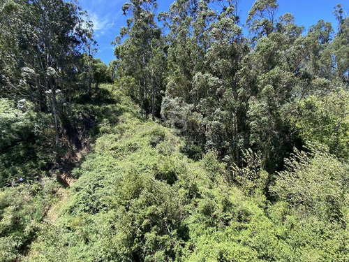 Excelente Departamento Cerca De Parque Ecuador Y Servicios