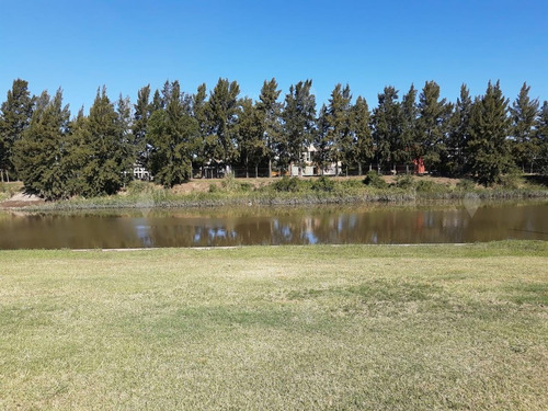 Imagen 4 de 7 de Terreno Lote En Venta Ubicado En San Benito, Villanueva (tigre)