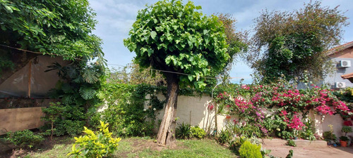 Imagen 8 de 27 de Venta De Dos Casas En Boulogne Refaccionar 550.m2