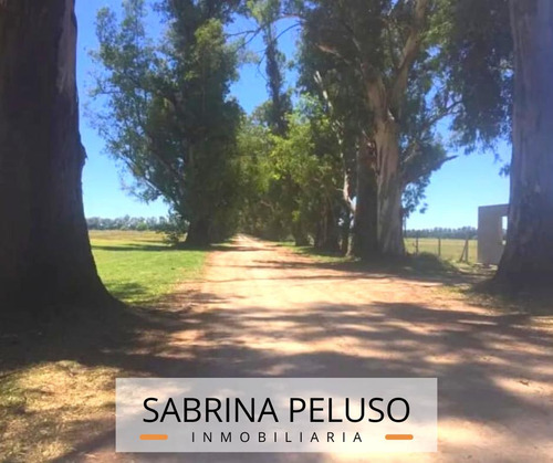 Venta Terreno Tres Pinos