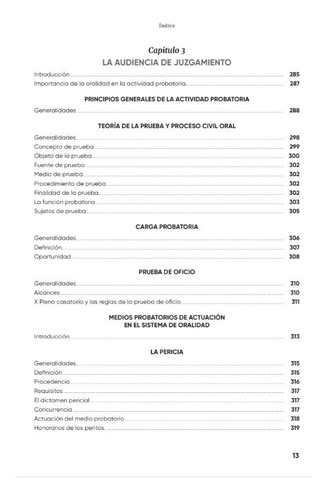 Imagen 10 de 10 de Litigacion Oral En El Proceso Civil
