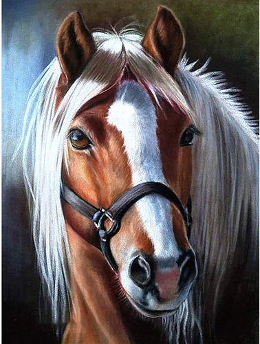 Kit De Pintura Con Diamantes Caballo Bricolaje 40x30cm 5d