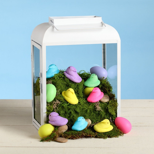 Malvaviscos Peeps Pascua 15 Chicks Gluten Free Americanos