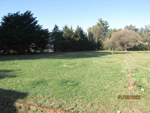 Imagen 6 de 30 de Quinta Venta Cañuelas Pileta Y Quincho