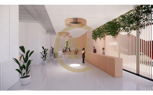 Arriendo Plantas Libres, Las Condes, Apumanque.