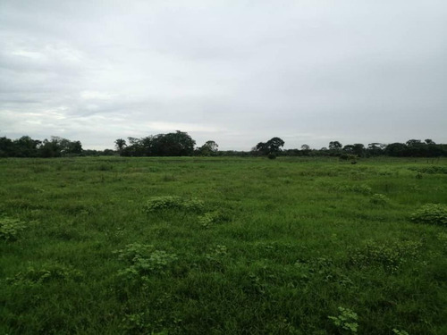 Imagen 10 de 17 de De Oportunidad Vendo Finca En El Cantón 283 Hectáreas Ah