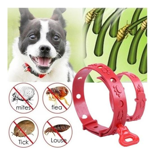 Regalo 5 Unidades Práctico Insecticida Anti Pulgas Perros Ga