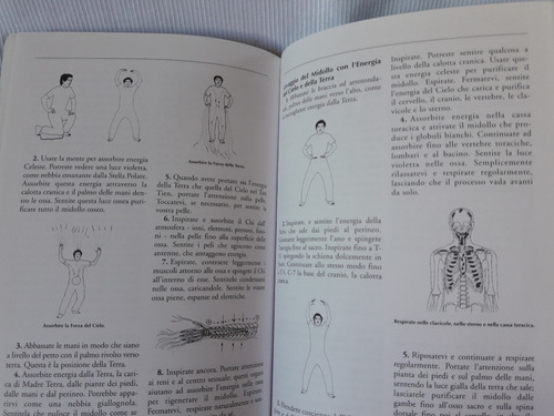 Imagen 7 de 7 de Struttura Interna Tai Chi Mantak Chia & Juan Li Mir Italiano
