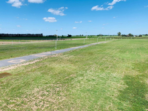 Barrio Brisanova. Localidad De Pueblo Esther. Lote De 347 M2