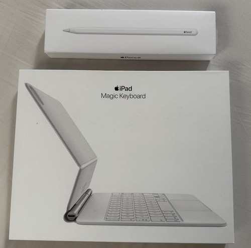 Ipad Pro 11 4ta Gen 256gb - Apple + Magic Keyboad + Pencil Gris Claro (Usado)