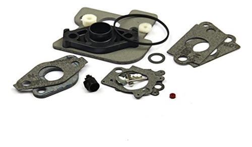 Briggs &quot; Stratton 792383 Carburetor Overhaul Kit