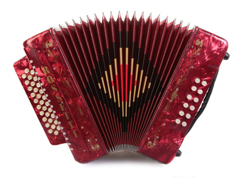 Acordeon Vallenato Paganine Con Estuche Promocion