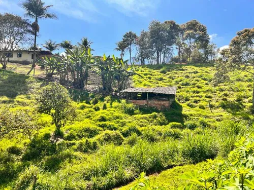 Lindo Lote En Venta Con Excelente Ubicación -vereda Cabeceras Rionegro