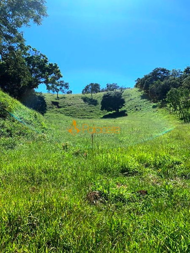 Imagem 10 de 16 de Rural Chacara - 234221-v