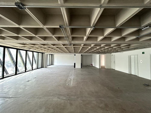 Oficina En Renta - Presidente Masaryk - Piso 1 - 330 M2